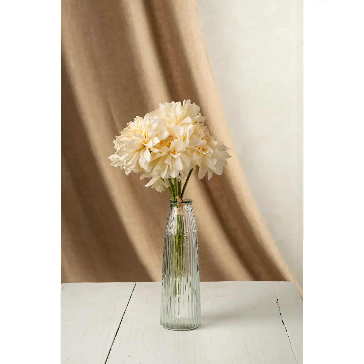 DAHLIA CHAMPAGNE BUNDLE