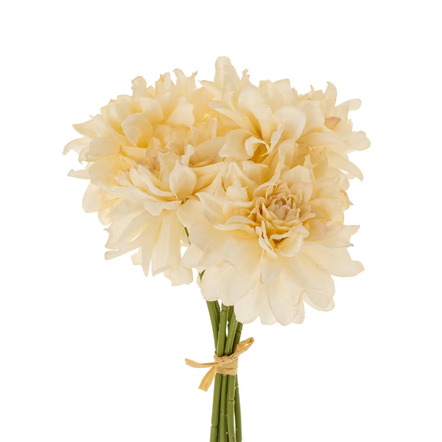 DAHLIA CHAMPAGNE BUNDLE