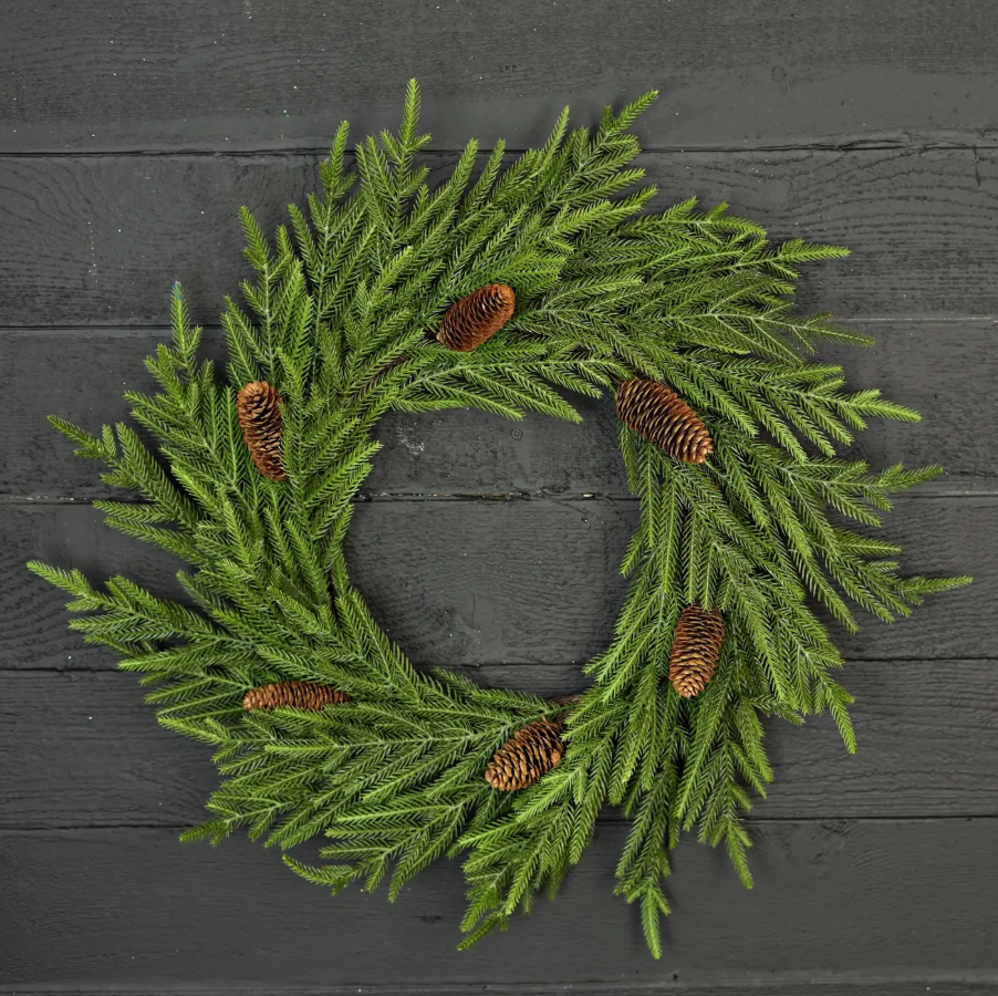 NORFOLK PINE WREATH