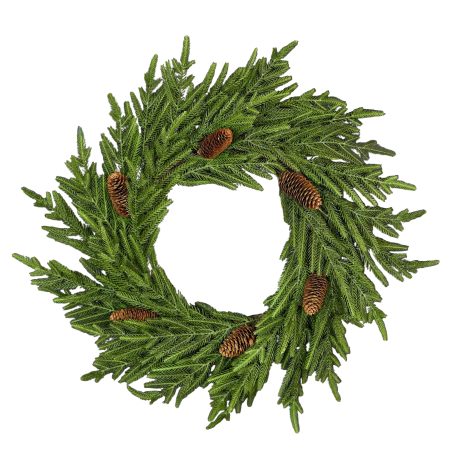 NORFOLK PINE WREATH