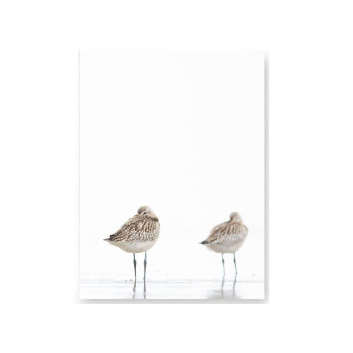 8x10 Canvas Board - Sandpipers