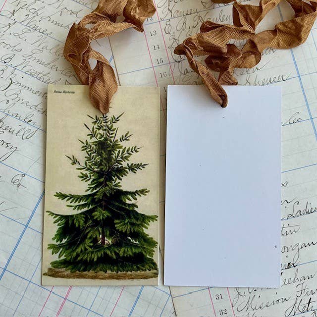 Beautiful Gift Tags, Hang Tags - Pine Tree pkg/3