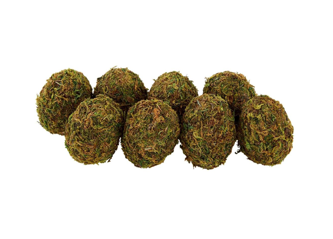 SET OF MOSS EGGS