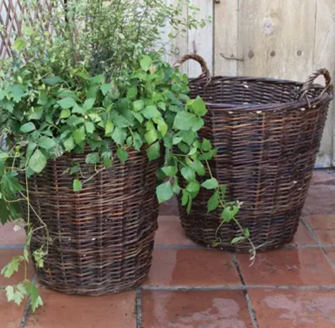 WILLOW BASKET