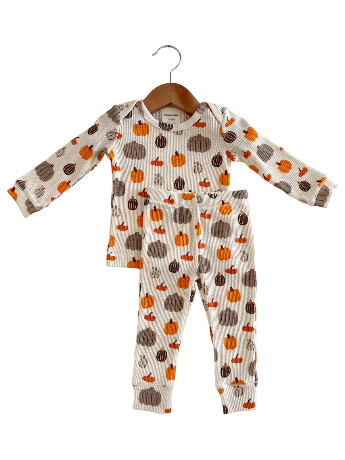 HARVEST PUMPKIN 2 PIECE SET