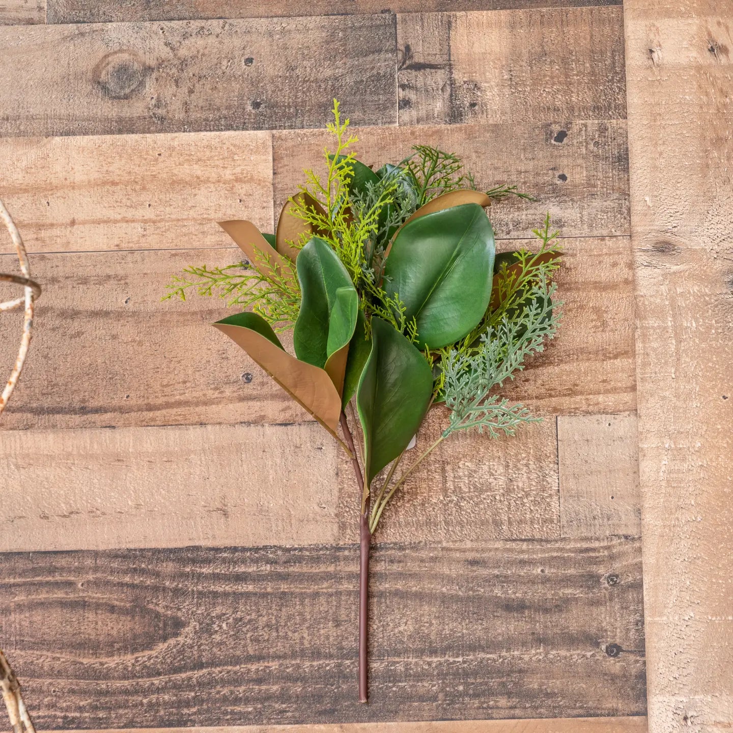 MAGNOLIA EVERGREEN LEAF