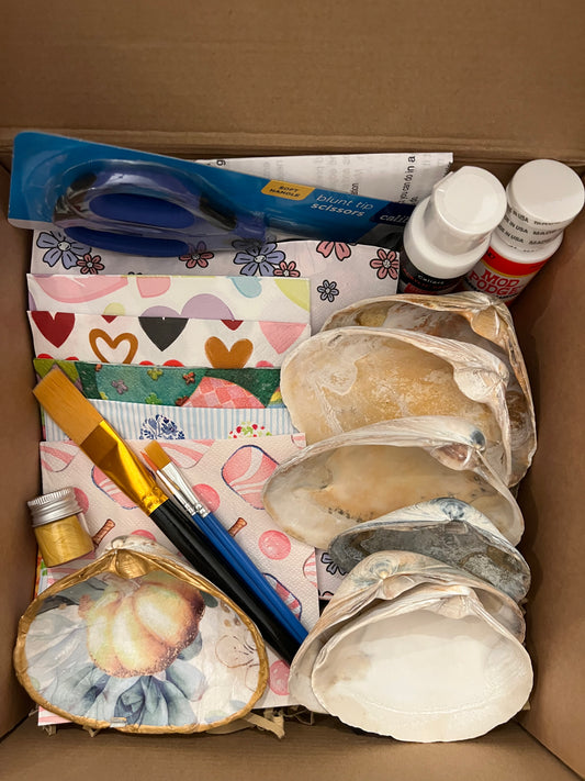DIY Decoupage Shell Kit