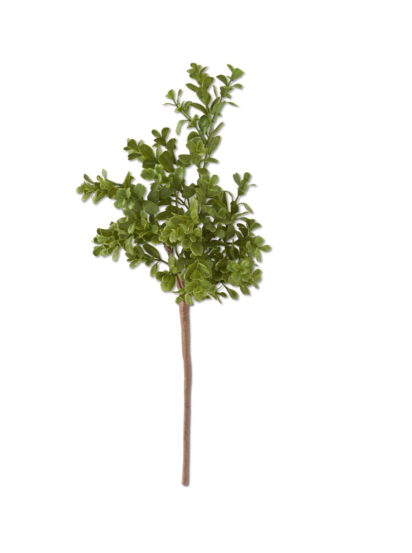 REAL TOUCH BOXWOOD PICK