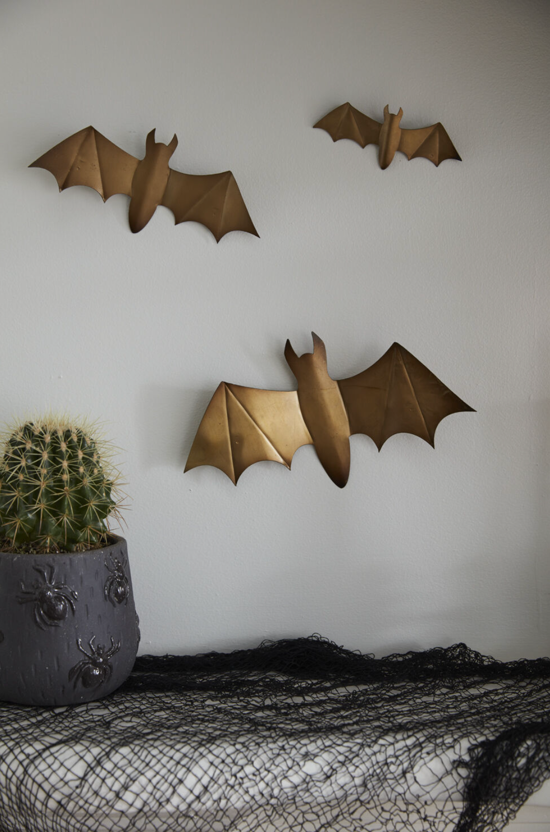 WINGED BATS