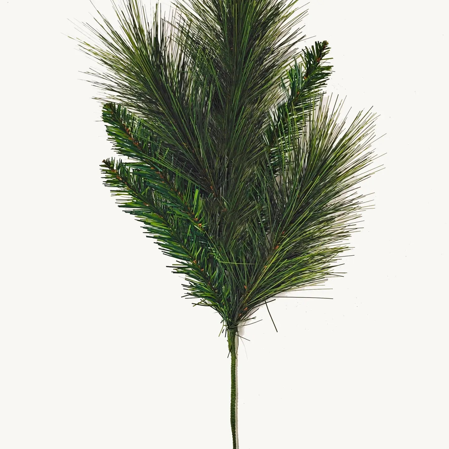 LONG NEEDLE PINE SPRAY