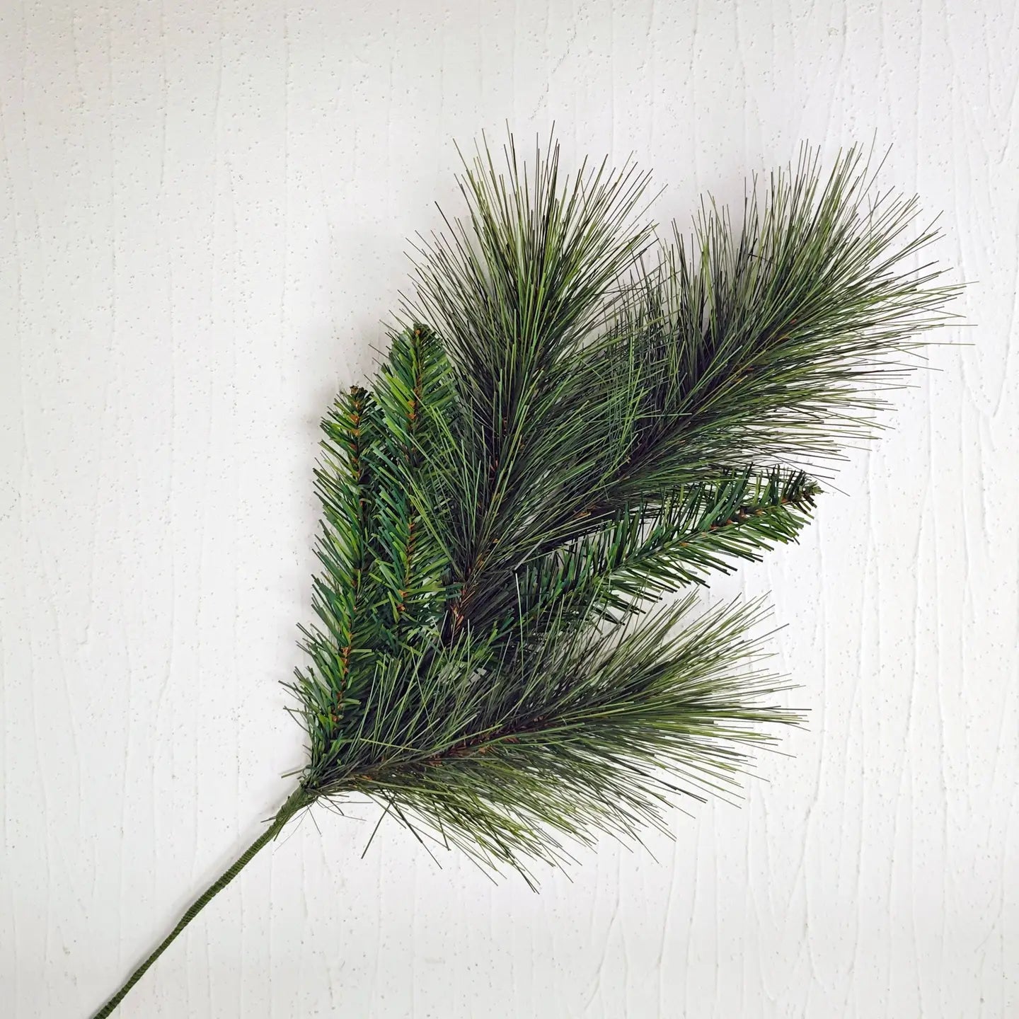 LONG NEEDLE PINE SPRAY