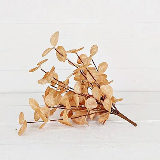 BEIGE SILVER DOLLAR LEAVES