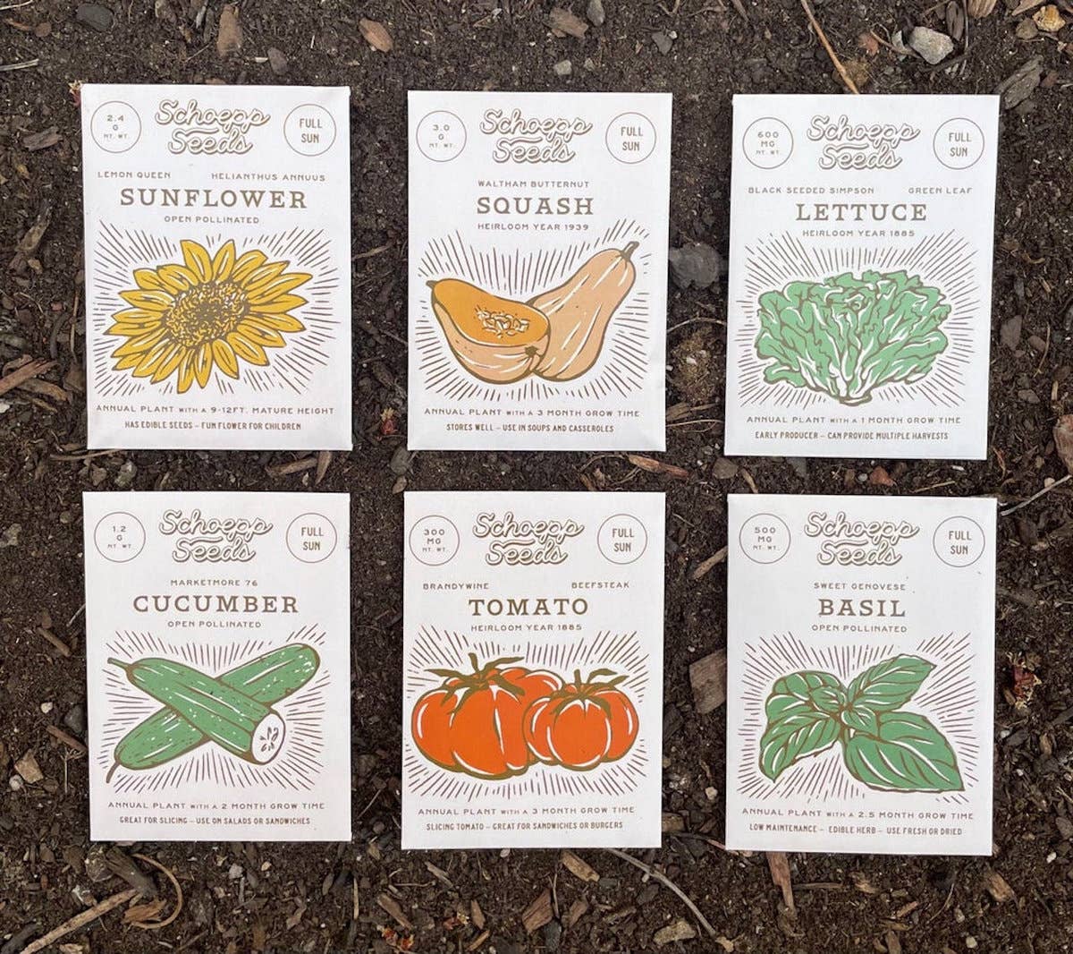 SEEDS
