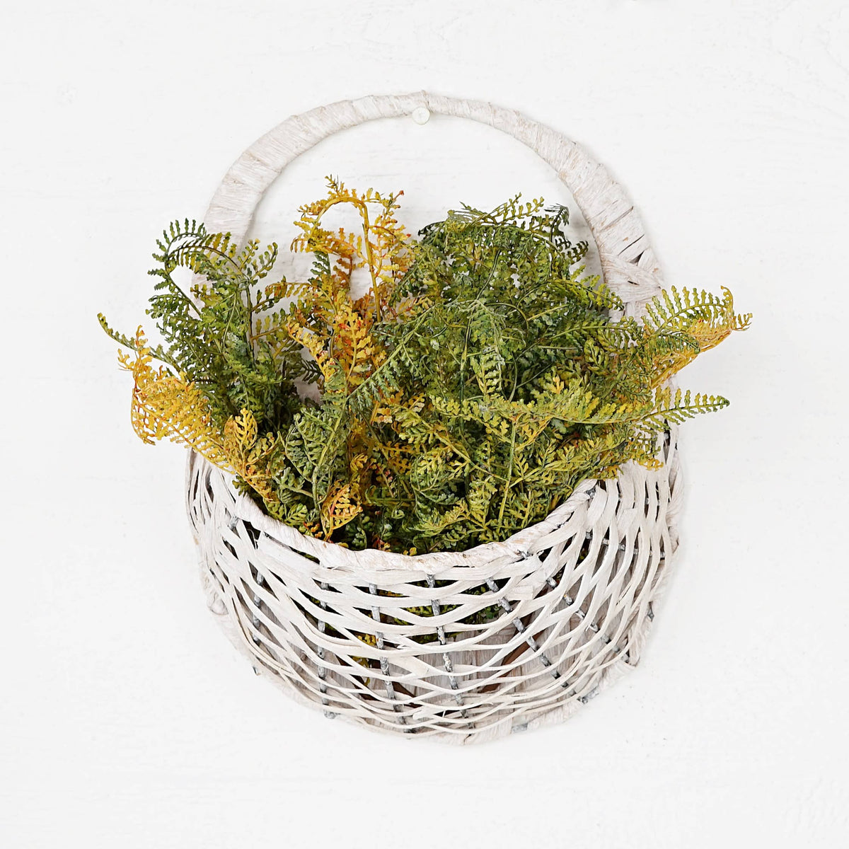 ISB52591-15inL Formosa Fern Bush-Sage color