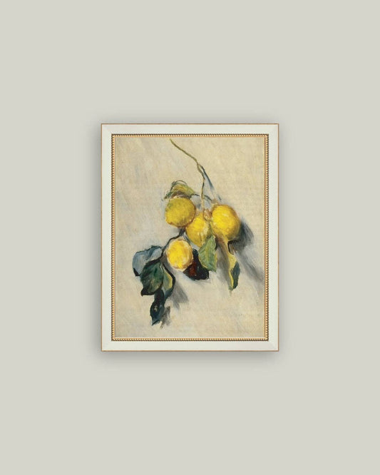 LEMON TREE ANTIQUE ART FRAMED