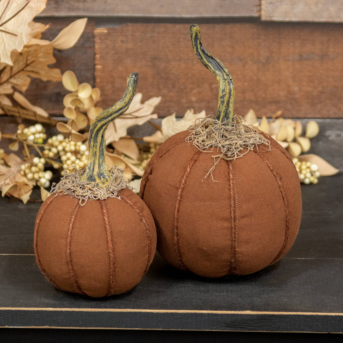 MOSSY TOP PUMPKIN