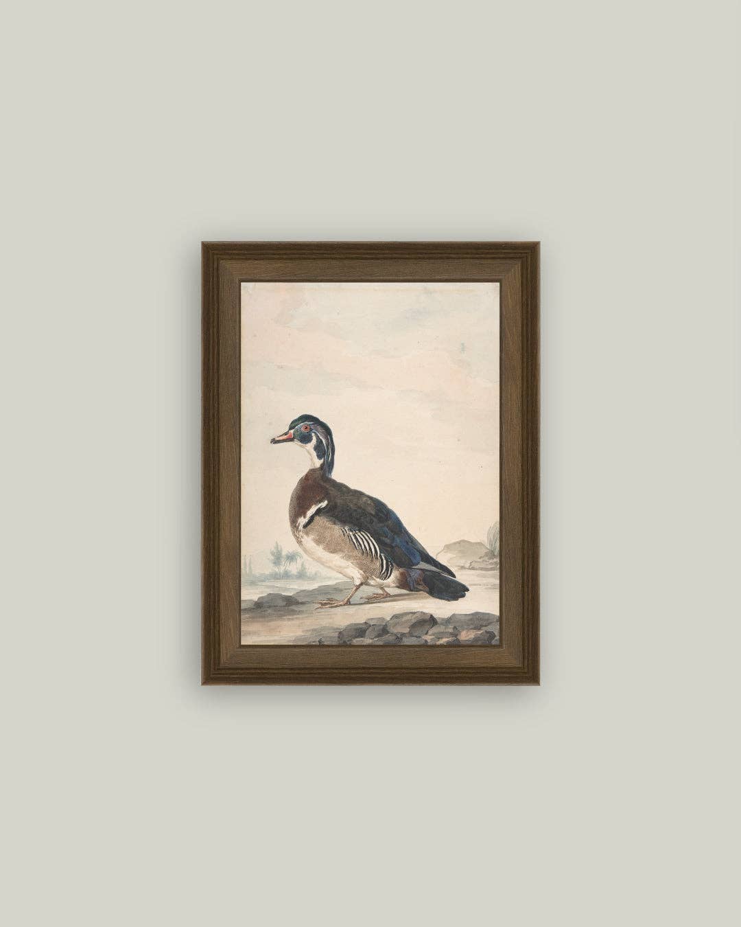 DUCKED FRAMED ART