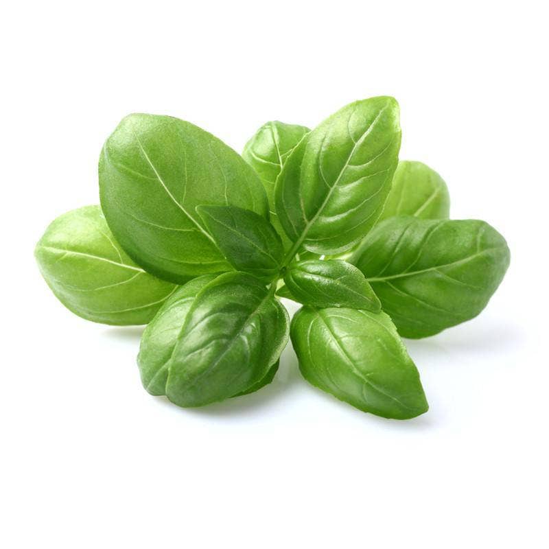 Basil, Genovese Sweet Seed Packets