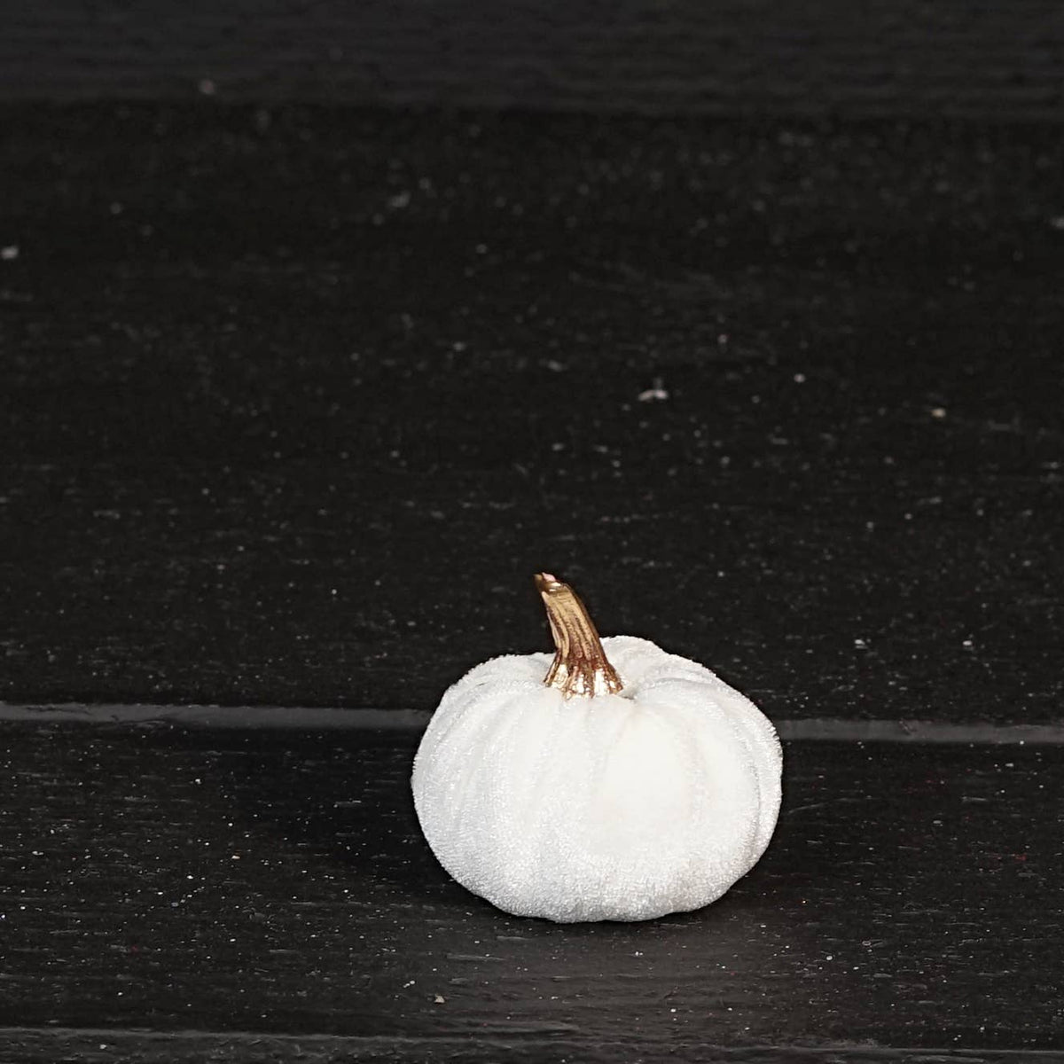 31347-2in pumpkin w.golden stem-Cream