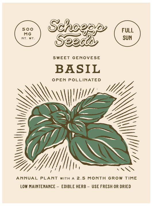 Basil, Genovese Sweet Seed Packets