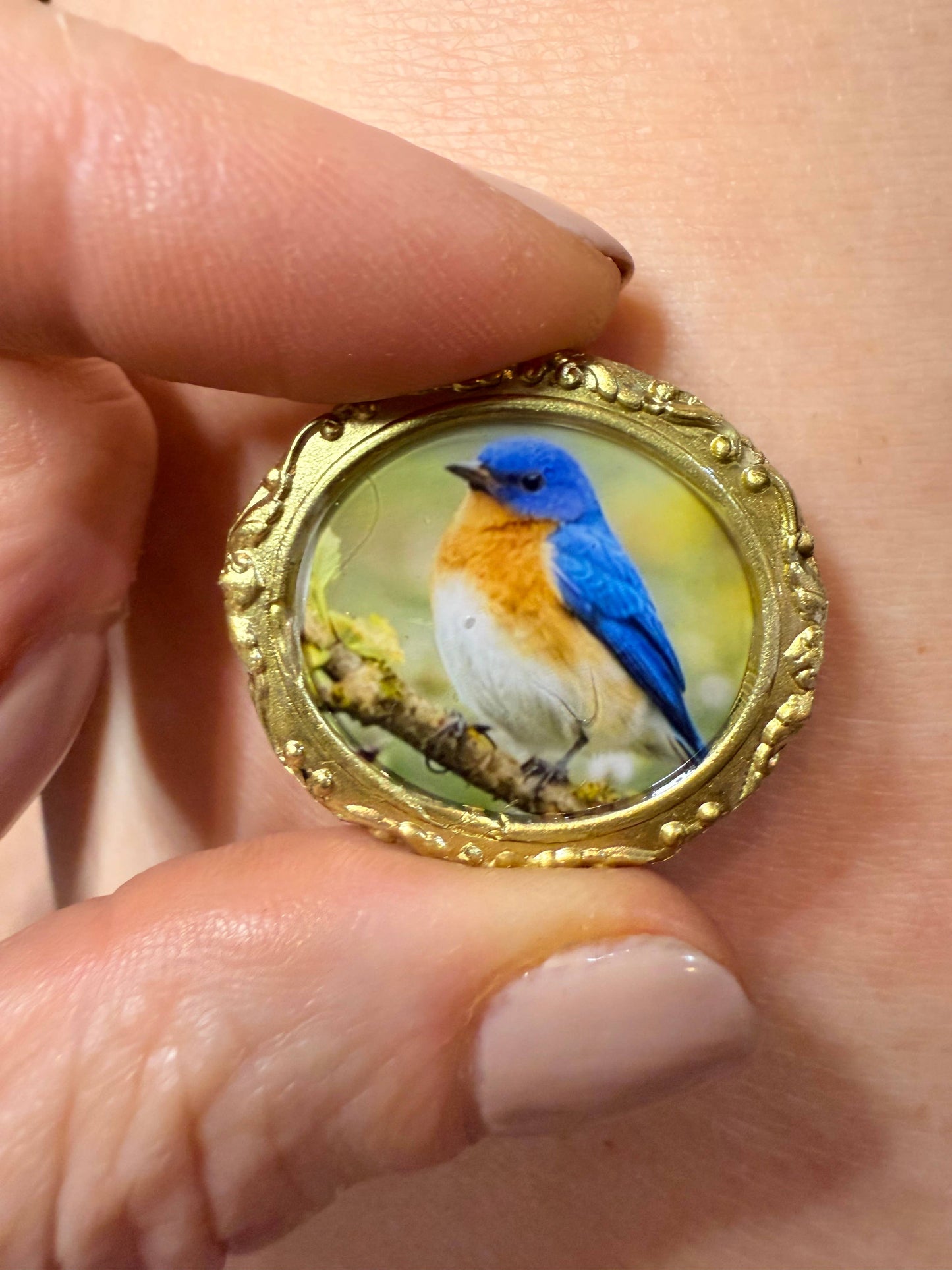 Bird Magnets (Set of 4 each) Bird theme