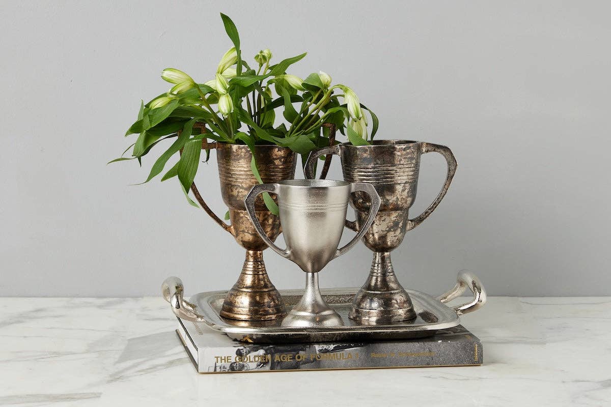 Vintage Trophy Cup, Large, Distressed Silver