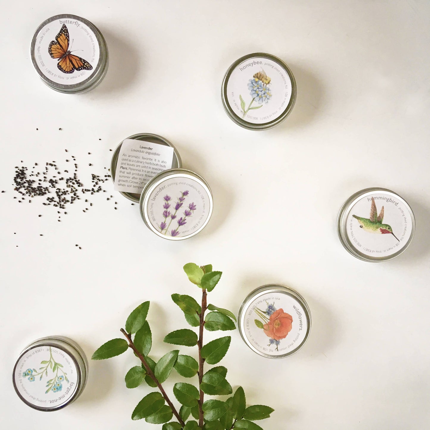 Garden Sprinkles | Lavender | Best Seller