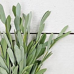 14in Foamy Willow Leaves Bush-green