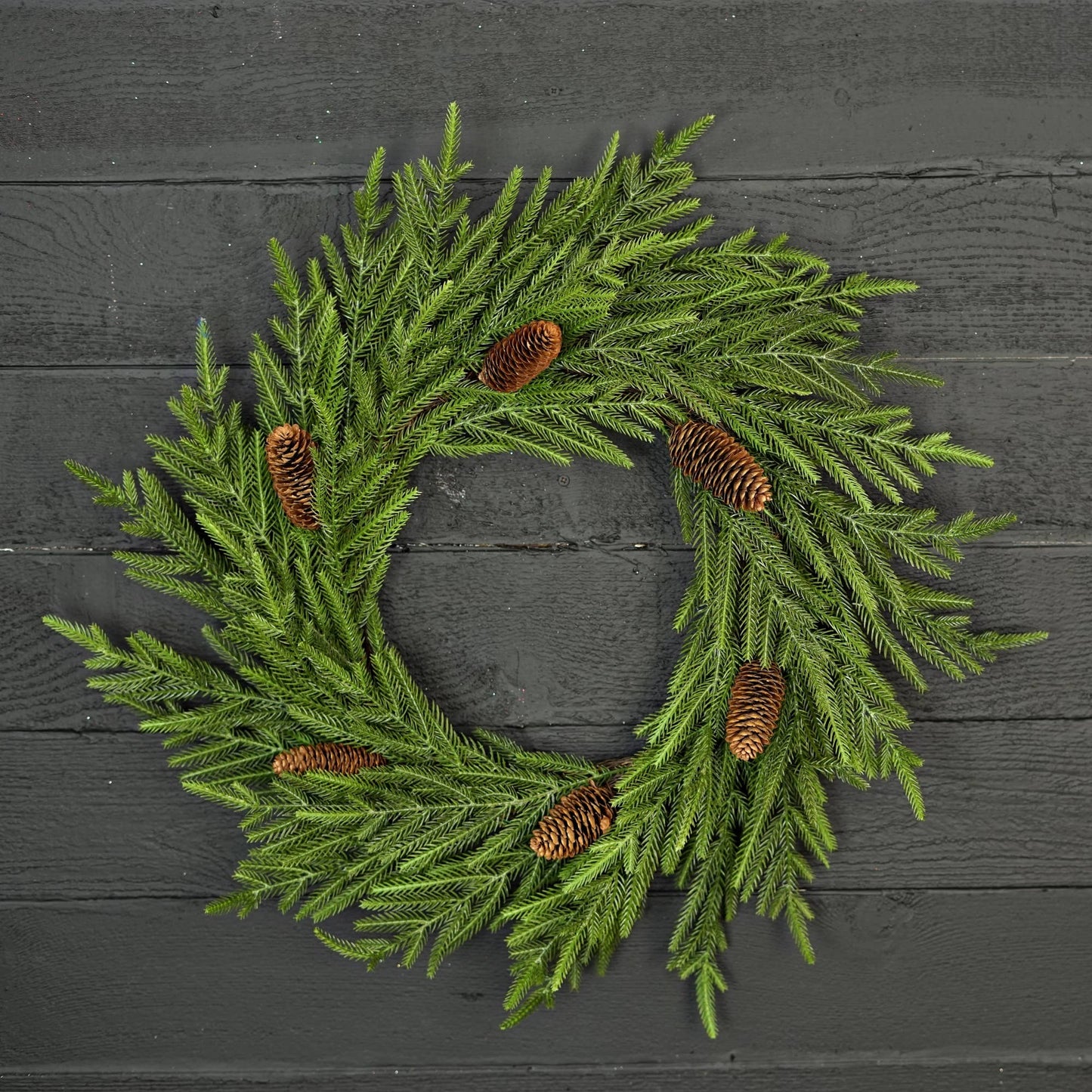 510070- 24in(12)Twig Wreath-Evergreen Norfolk Pine w.Long Pi