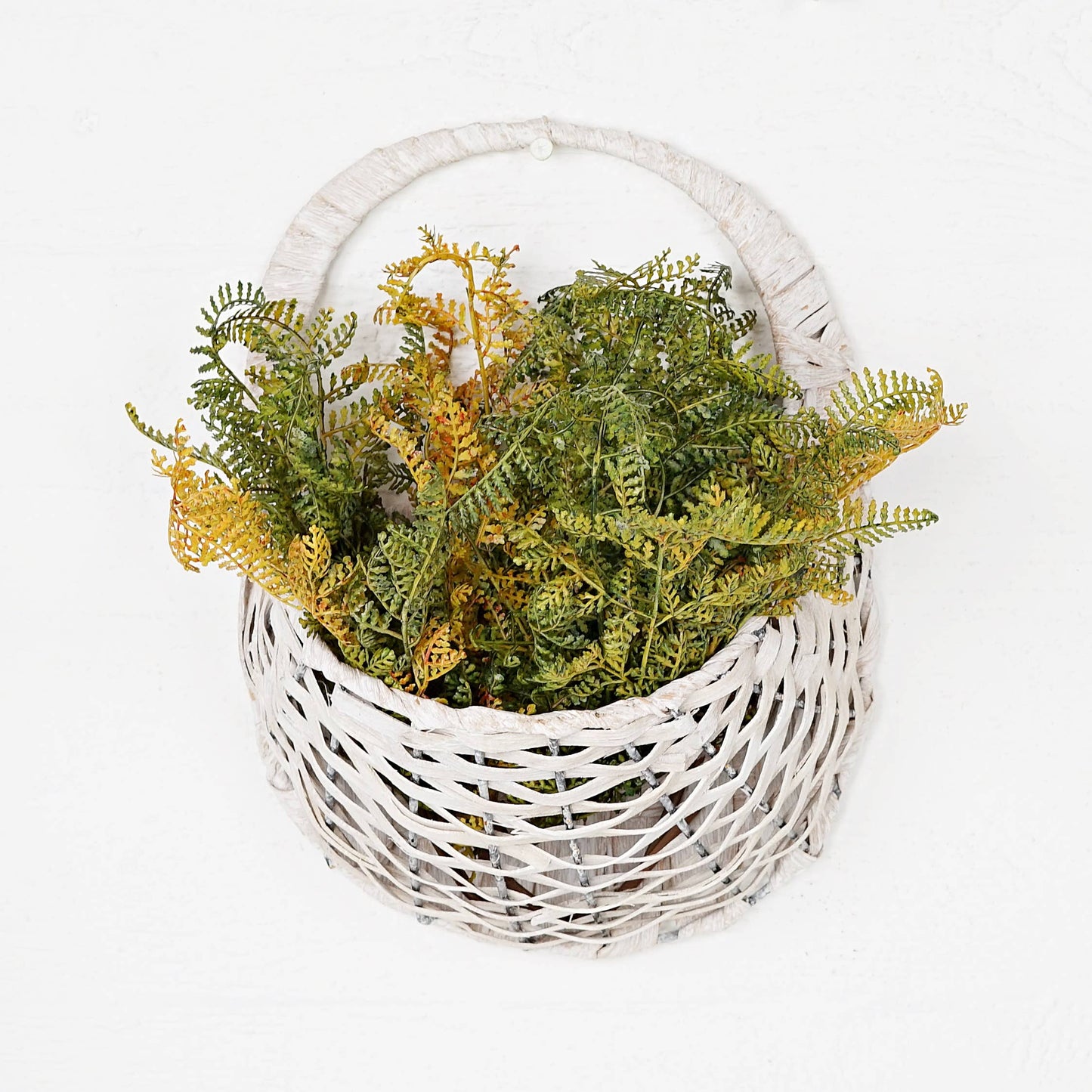 ISB52591-15inL Formosa Fern Bush-Sage color