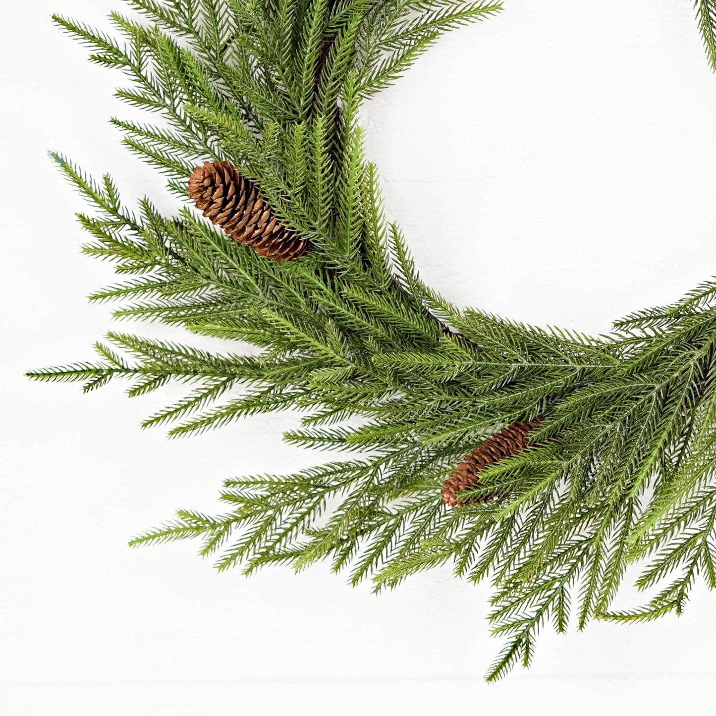 510070- 24in(12)Twig Wreath-Evergreen Norfolk Pine w.Long Pi