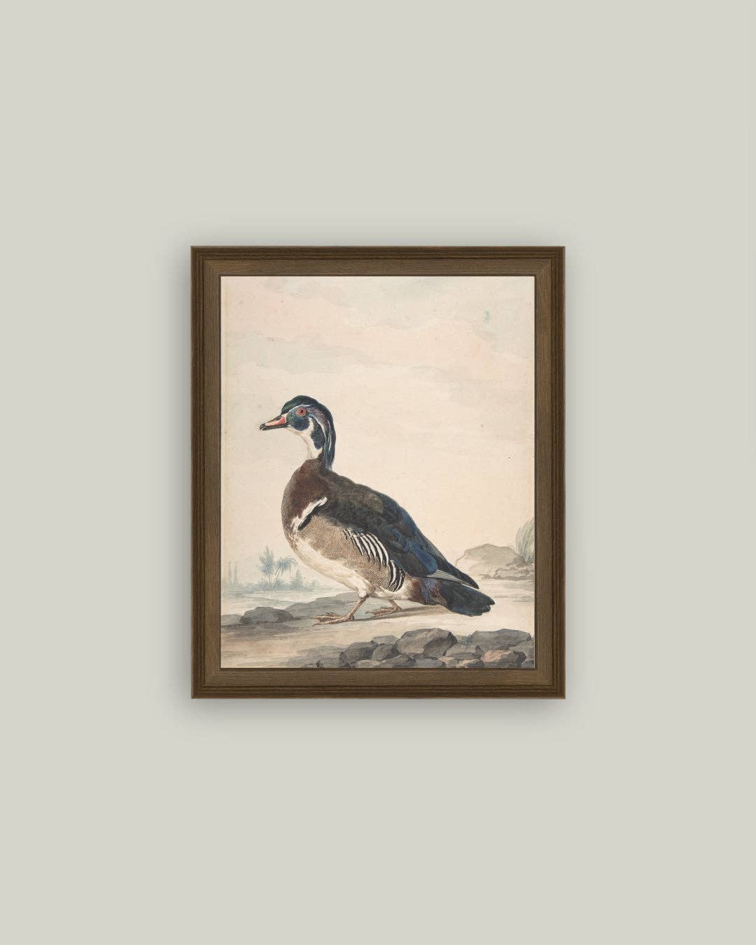 DUCKED FRAMED ART