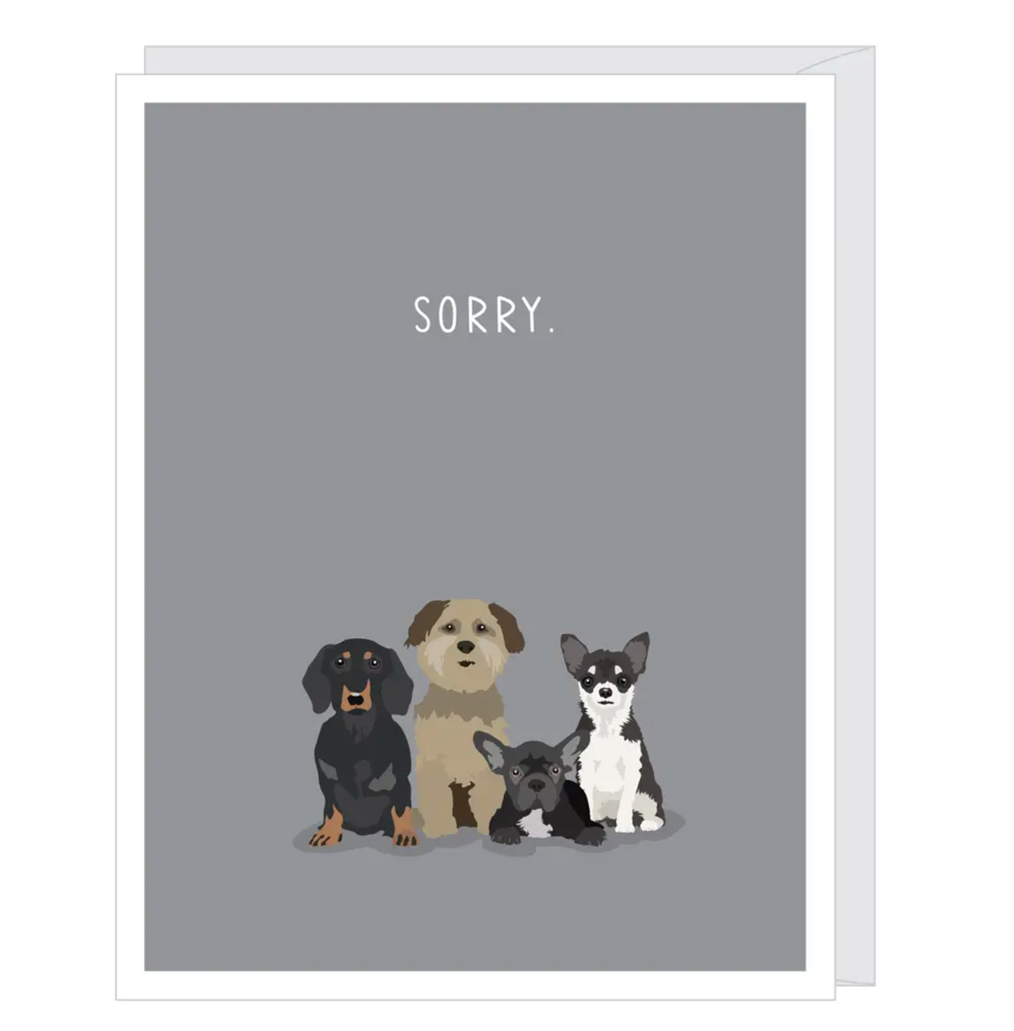 SORRY DOG