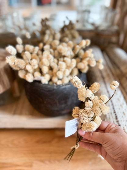 OSMANTHUS POD BUNDLE